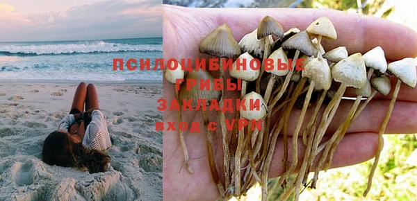 бошки Алзамай