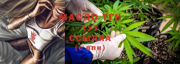 дмт Алексин