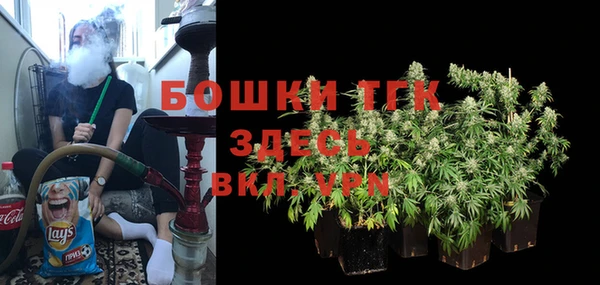 дмт Алексин