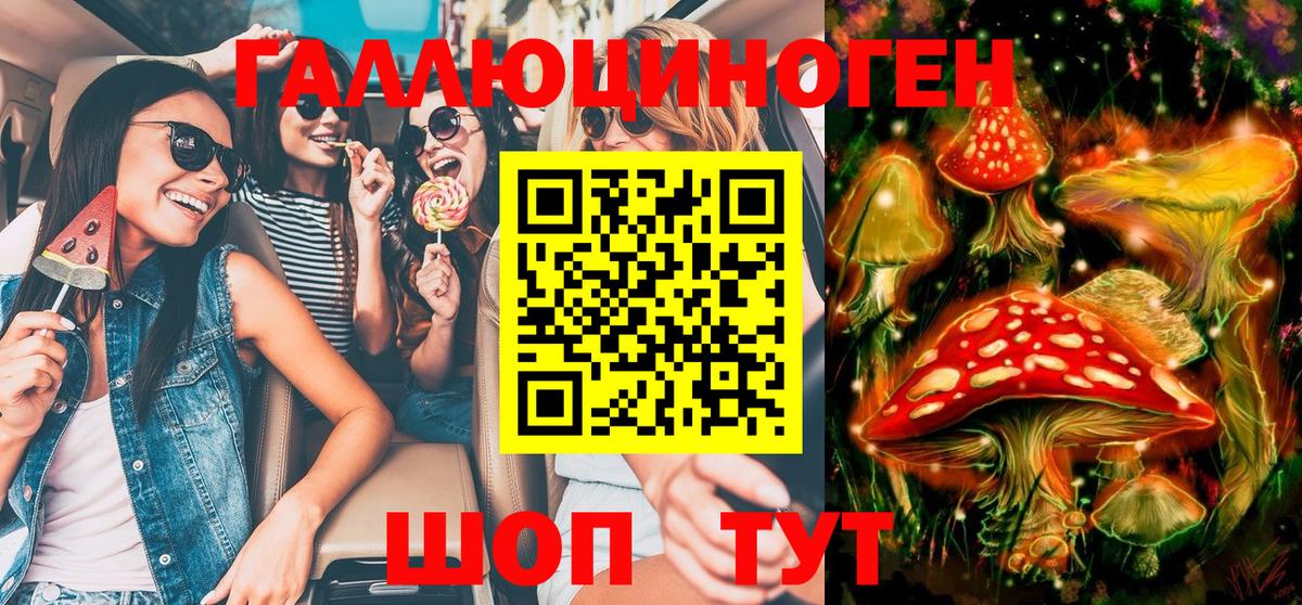 Галлюциногенные грибы Psilocybe  Вход с VPN  Псилоцибиновые грибы мицелий  Протвино 